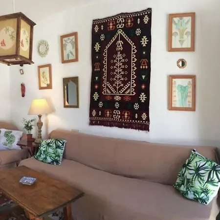 Apartment Central Home